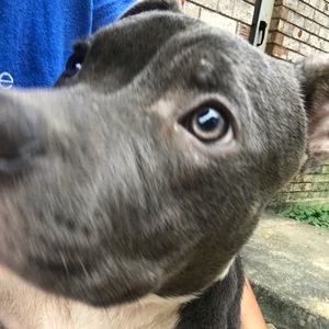 Meet your Posher, Tanya